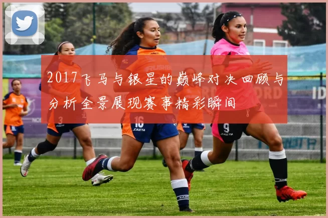 2017飞马与银星的巅峰对决回顾与分析全景展现赛事精彩瞬间
