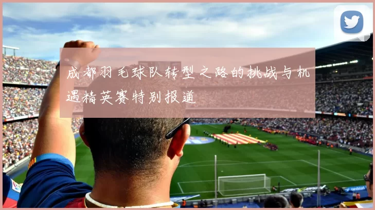 成都羽毛球队转型之路的挑战与机遇精英赛特别报道