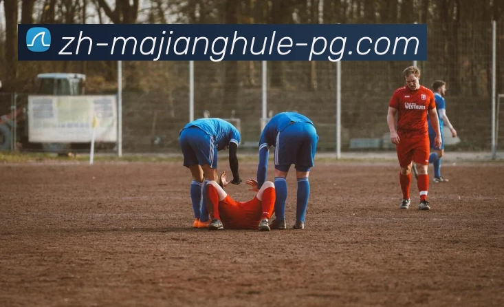 麻将糊了模拟器服务体系