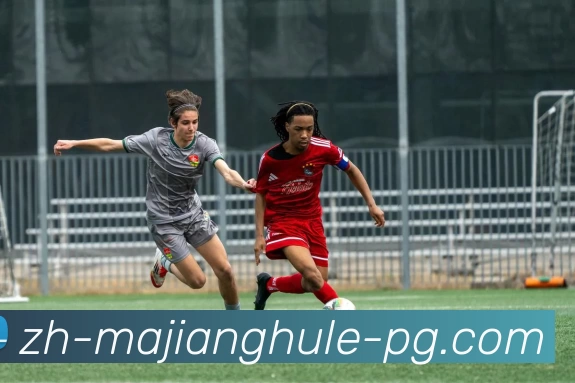 麻将糊了模拟器APP 封面图